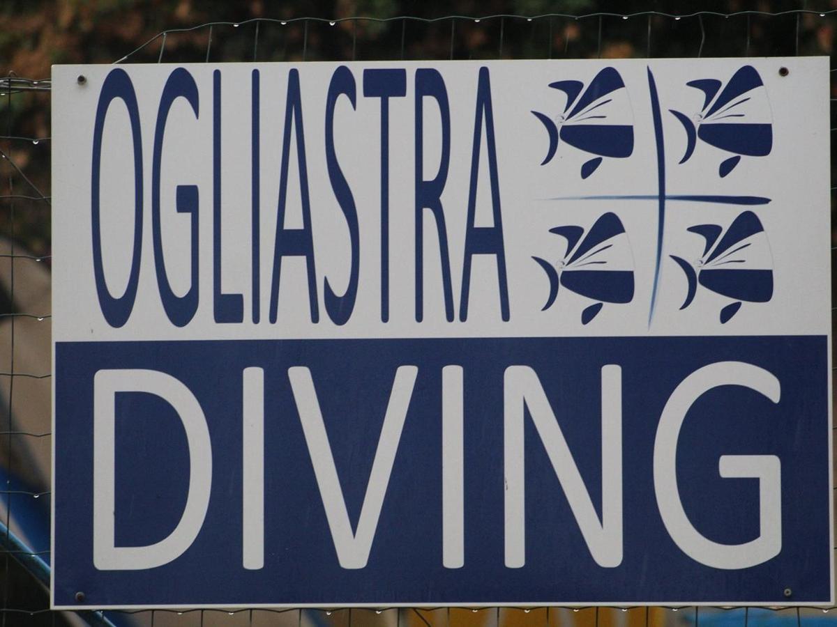 Estate In Ogliastra Sa Figumoru 5 Minuti Al Mare Lejlighed Bari Sardo Eksteriør billede